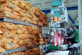Gạo Việt vững vàng giữa sóng gió thị trường thế giới