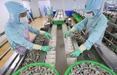 Xu hướng nhập khẩu tôm của các thị trường lớn