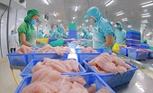 Xuất khẩu thủy sản tăng trưởng mạnh, kỳ vọng về đích 11 tỷ USD