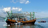 Chống khai thác IUU và phát triển bền vững ngành Thủy sản ở Việt Nam