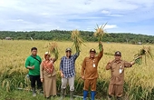 Hai nền kinh tế top đầu Đông Nam Á cấm nhập khẩu gạo, Việt Nam thiệt đơn thiệt kép