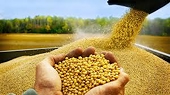 Nhập khẩu hàng hóa từ Mỹ về Việt Nam tăng gần 24%