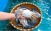 Ghẹ Việt thoát hiểm phút cuối, tiếp tục xuất sang Mỹ