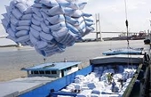 Đa dạng hóa thị trường - Chìa khóa nâng cao giá trị xuất khẩu gạo Việt