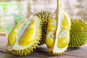 Việt Nam trở thành nguồn cung rau quả lớn thứ 2 tại thị trường Trung Quốc