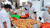 Xuất khẩu vào CPTPP: Doanh nghiệp chưa tận dụng được nguồn lực tổng hợp