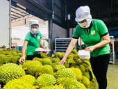 Quy định mới về truy xuất sản phẩm của Trung Quốc tác động gì tới hàng Việt?