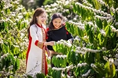 ‘Bước ngoặt’ cho cà phê Việt Nam xuất khẩu sang Mỹ