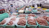 Xuất khẩu thủy sản vượt thách thức thuế quan, thu về 9,3 tỷ USD, hướng tới “xanh hóa” vùng nuôi