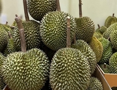 Sầu riêng Việt Nam xuất khẩu kỷ lục, nhập khẩu vẫn tăng gấp 16 lần