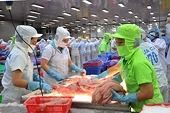 Doanh nghiệp thủy sản tăng tốc vào CPTPP: Cơ hội rộng mở nhưng yêu cầu chiến lược thận trọng