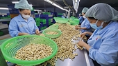 Xuất khẩu xanh: Điều kiện bắt buộc cho hàng Việt