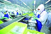 Xuất khẩu thuỷ sản tới các thị trường chủ lực tiếp tục tăng trưởng