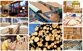 Ngành gỗ hướng tới mục tiêu xuất khẩu 25 tỷ USD vào năm 2030