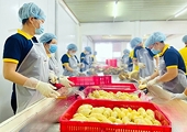 Xuất khẩu rau quả: chuyển lợi thế thuế quan thành lợi thế chất lượng