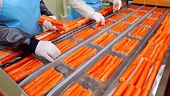 Trung Quốc, EU đẩy mạnh săn lùng chả cá và surimi của Việt Nam