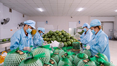 Giữ thị trường nông sản trong bối cảnh mới