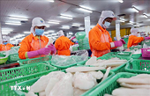 Xuất khẩu nông, lâm, thủy sản 11 tháng đạt trên 64 tỷ USD