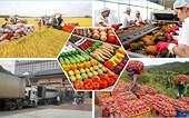 Xuất khẩu nông lâm thủy sản bứt phá, hướng đến 70 tỷ USD