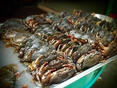 Ghẹ Việt sang Mỹ, Nhật Bản siêu đắt hàng