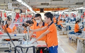 Hiệp định VIFTA: "Bộ lọc chất lượng" mở đường cho hàng Việt chinh phục Trung Đông