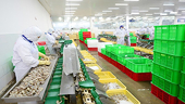 Xuất khẩu nông sản sang EU tăng trưởng nhờ EVFTA