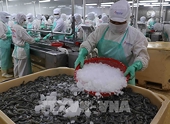 Nhận diện yếu tố đưa thủy sản cán mốc 11 tỷ USD