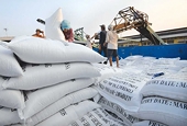 Xuất khẩu gạo giảm mạnh trước những biến động của thị trường Philippines
