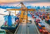 Xuất khẩu Việt Nam 2025: Ngược dòng thuế quan, nghẽn nội lực