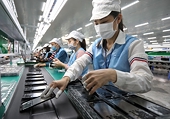 Nâng chuẩn hàng hóa để xuất khẩu sang Hoa Kỳ