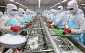 Khối CPTPP tiếp tục là động lực xuất khẩu lớn của thủy sản Việt Nam