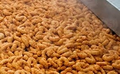 Chả cá và surimi Việt Nam được EU ưa chuộng: xuất khẩu tăng gần 100%, Trung Quốc cũng tích cực săn đón