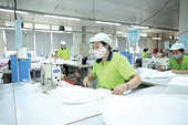 Chuẩn hóa quản trị để "giữ chỗ" tại thị trường EU