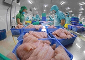 Hà Lan là thị trường xuất siêu lớn nhất của Việt Nam sang châu Âu