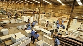 Ngành gỗ Việt Nam vượt “gió ngược”, lần đầu cán mốc hơn 17 tỷ USD