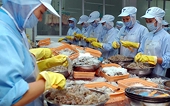 Những điểm nhấn nổi bật của ngành thủy sản Việt Nam trong năm 2025