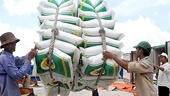 Philippines sớm ký thỏa thuận nhập khẩu 2,5 triệu tấn gạo từ Việt Nam