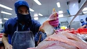 Thương mại Việt Nam – Singapore đạt kỷ lục mới và “bước nhảy vọt” của xuất khẩu thủy sản