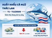 Xuất khẩu cá ngừ Thái Lan giảm 2%, Việt Nam đứng trước phép thử 2026