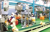 Nhật Bản "mở cửa" nhập khẩu gạo: Cơ hội dành cho chuỗi cung ứng đủ năng lực
