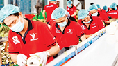 Tự chủ nguyên liệu phục vụ xuất khẩu