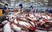 Chủ động phòng vệ thương mại bằng dữ liệu