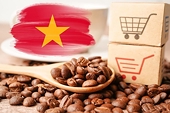 Khuyến nghị then chốt để cà phê Việt đáp ứng yêu cầu bền vững của EU