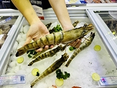 Chính sách mới của EU về miễn thuế nhập khẩu nguyên liệu đầu vào: Cơ hội và thách thức