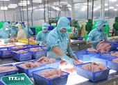 Gỡ vướng thủ tục xuất khẩu thủy sản sang Hoa Kỳ