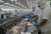 Xuất khẩu cá tra tăng mạnh