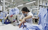 Hàng Việt tăng tốc vào thị trường Mỹ