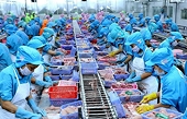 Việt Nam - Nhật Bản thúc đẩy chuỗi cung ứng thủy sản hai chiều
