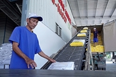 Philippines lên kế hoạch giảm nhập khẩu, doanh nghiệp gạo Việt lo lắng