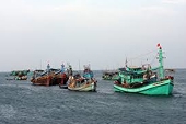 MMPA 'gõ cửa': Con đường nào để thủy sản Việt thích ứng?
